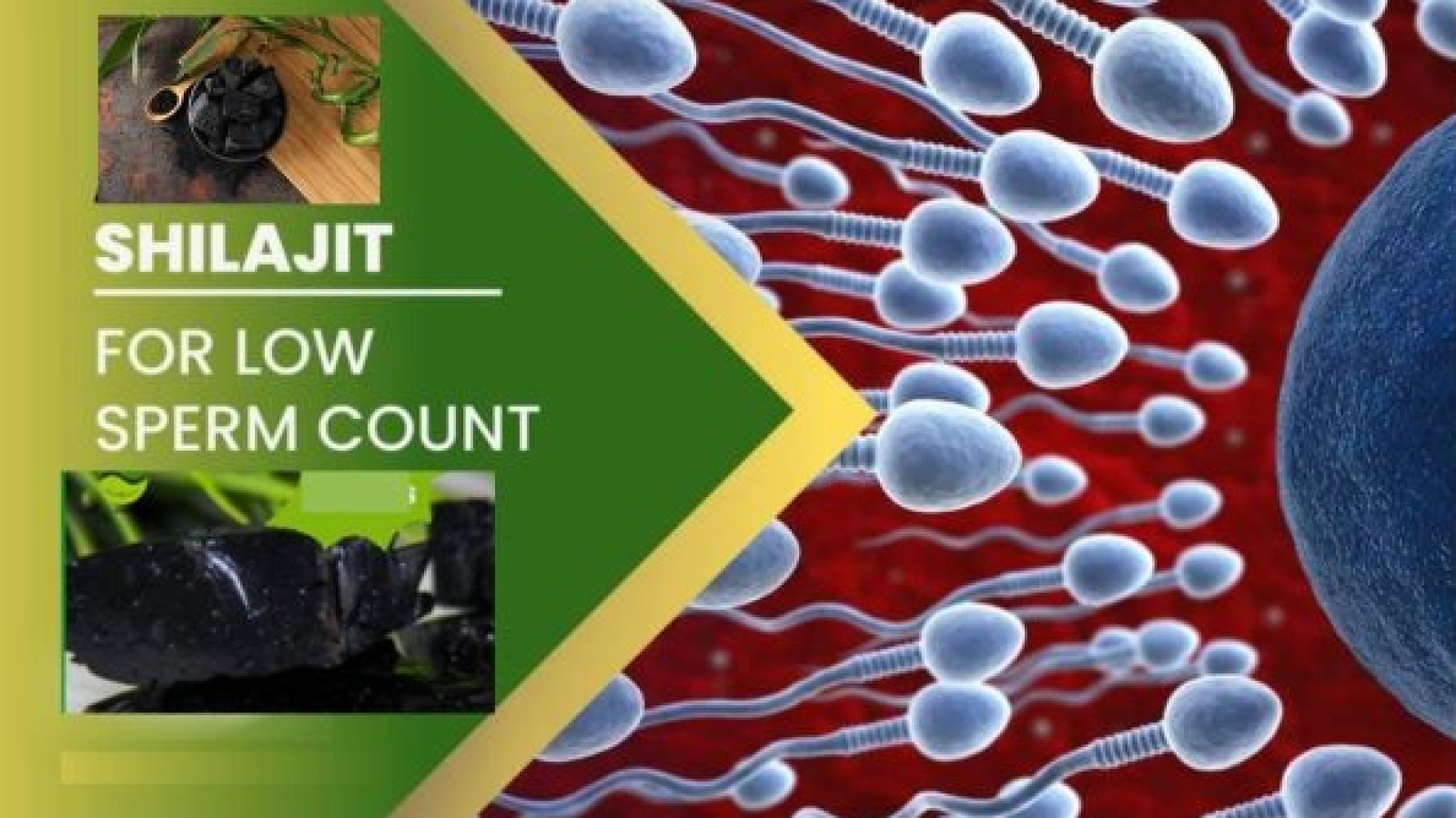 herbal natural supplements